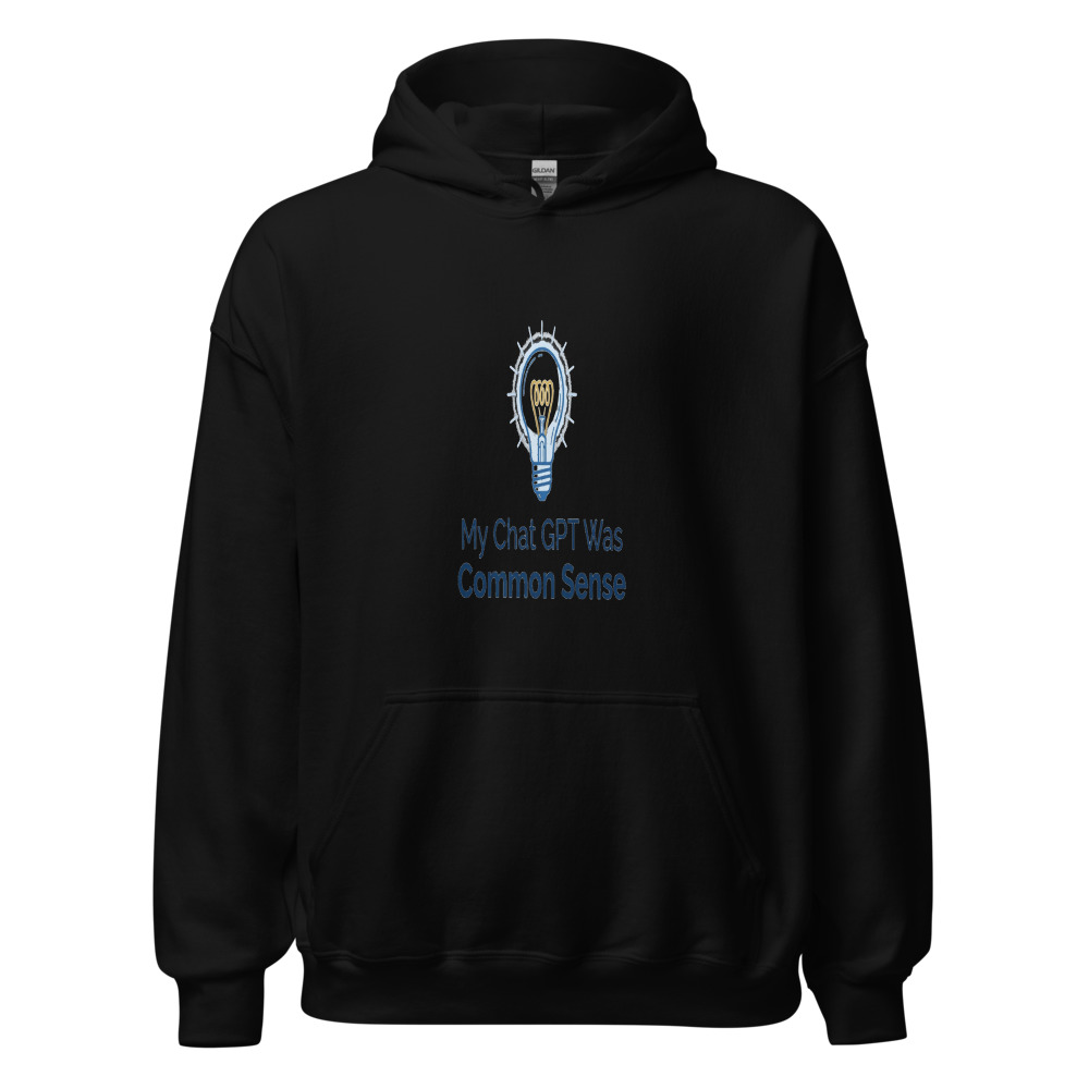 My Chat GPT Was Common Sense - hoodie