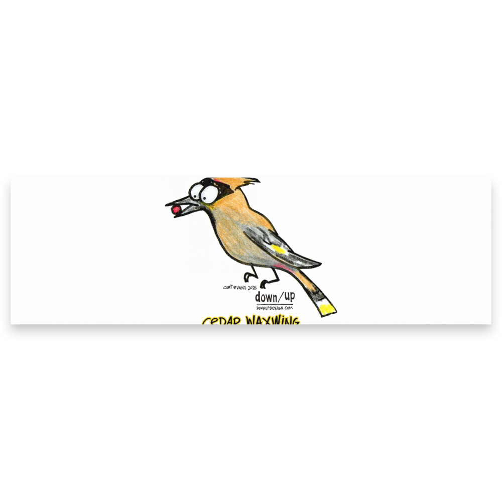 Cedar Waxwing — Note pads (White)