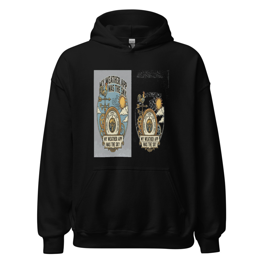 My Weather App Was The Sky - hoodie