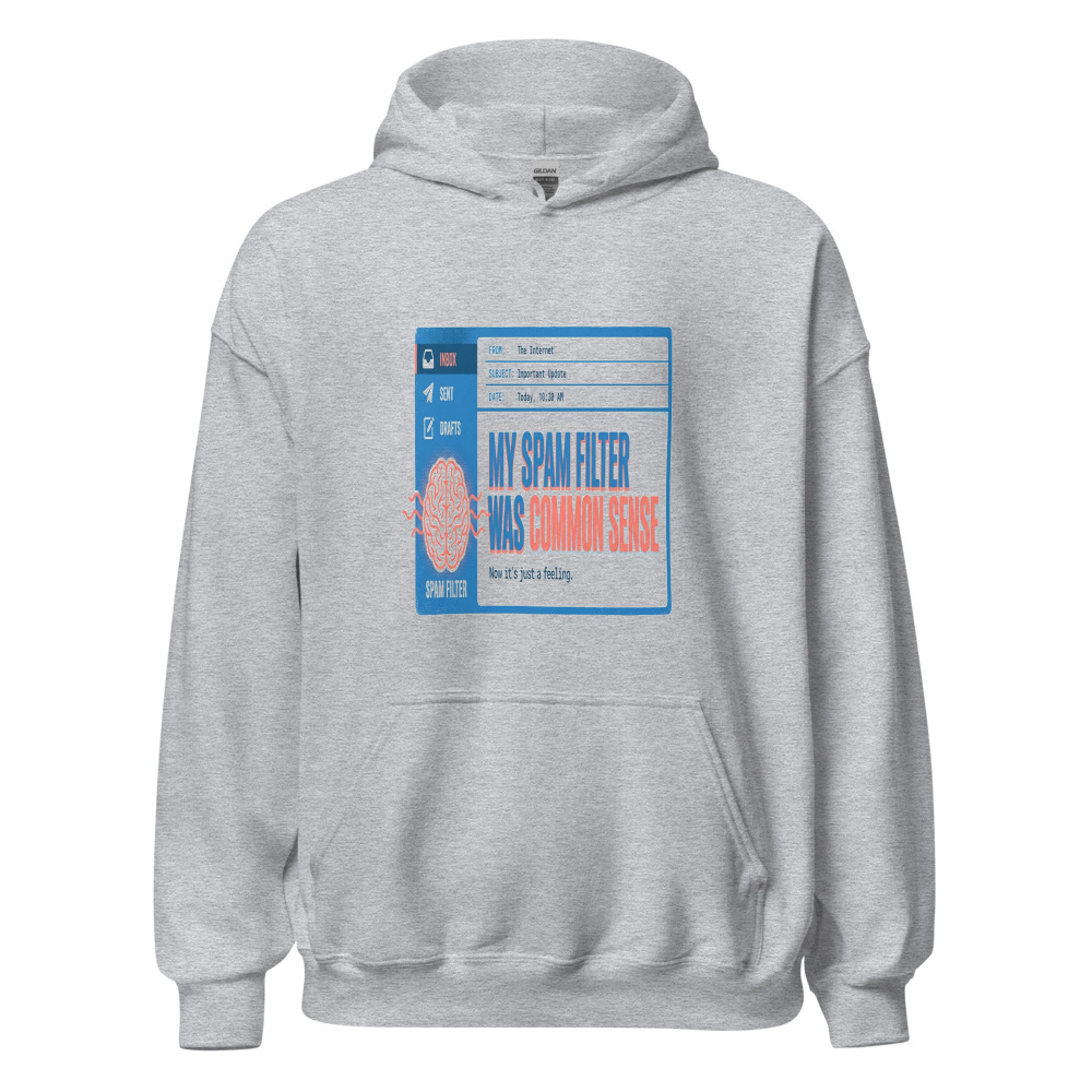 My Spam Filter Was Common Sense - hoodie