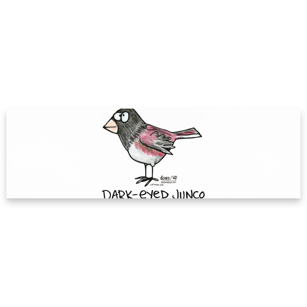 Dark-eyed Junco — Note pads (White)