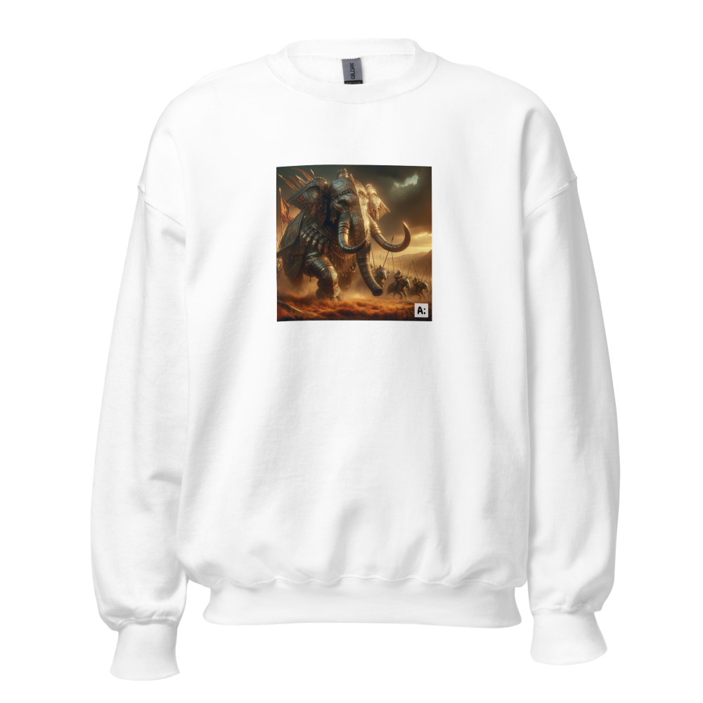 Sweatshirt